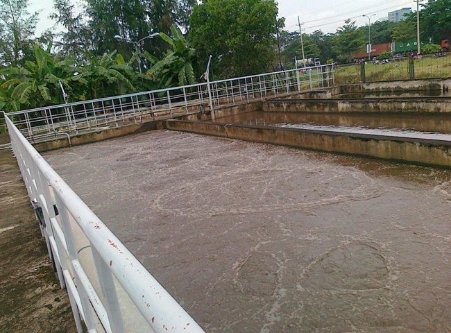 Nguồn nước sau khi được làm sạch từ bùn vi sinh