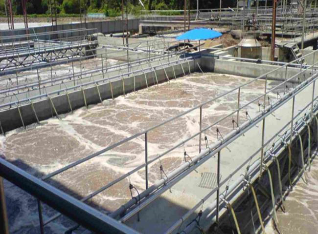 Nguy&ecirc;n nh&acirc;n g&acirc;y ra m&ugrave;i h&ocirc;i hệ thống xử l&yacute; nước thải