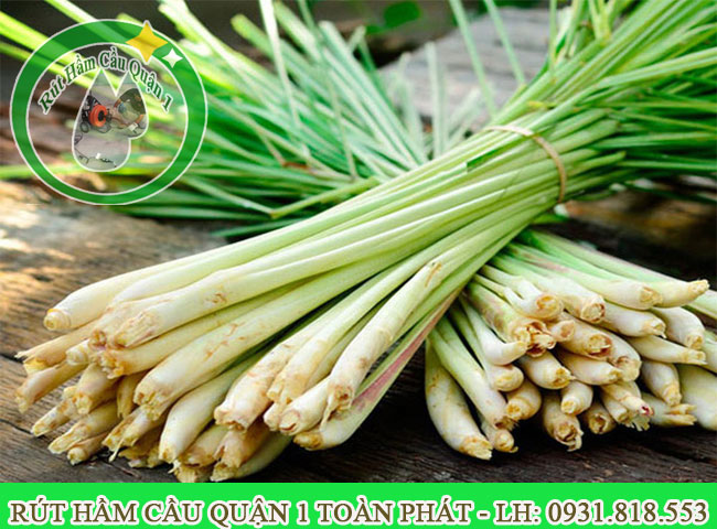 d&ugrave;ng sả khử m&ugrave;i h&ocirc;i cống