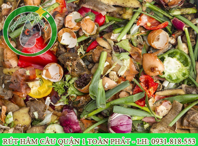 tác hại của rác thải hữu cơ