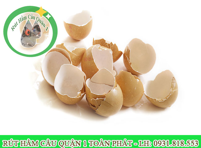 mảnh vụn vỏ trứng gây nghẹt cống