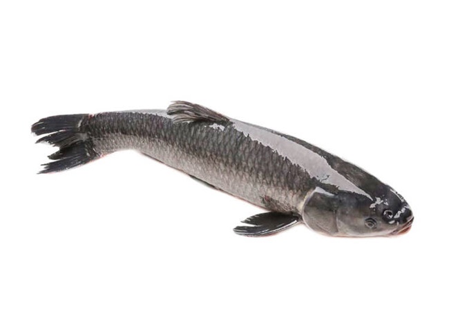 Xử l&yacute; b&agrave;n chải đ&aacute;nh răng rơi v&agrave;o bồn cầu bằng c&aacute; l&oacute;c