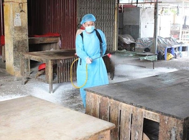 Xử lý chuồng heo có mùi hôi bằng hóa chất khử mùi