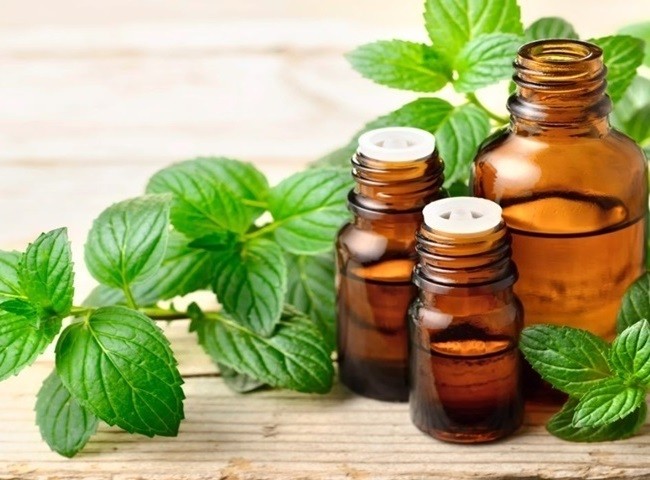 Xử l&yacute; m&ugrave;i h&ocirc;i quần &aacute;o bằng tinh dầu